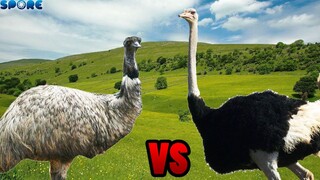 Emu vs Ostrich | SPORE