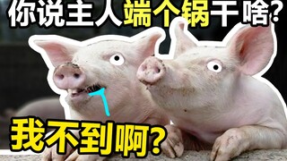 The Coolest Pig Raising King! (Episode 10)