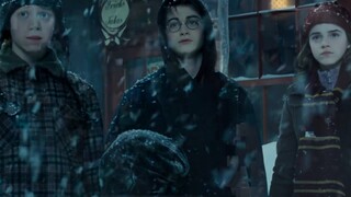[HP/Chân dung nhóm] "Vì chiến thắng tuyệt vọng của chúng ta" (còn được gọi là "Yan Wang Dian Mao")