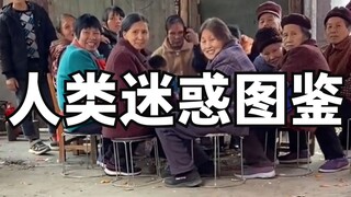 人类迷惑图鉴