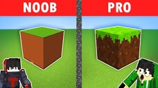 A USEFUL and AUTOMATIC Door in Minecraft! ⛏️