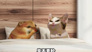 Giữa tôi và bạn gái cũ của anh, ai là người kiêu ngạo hơn?