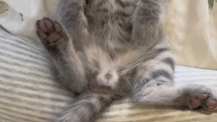 ยังดีที่ฉันถ่ายฉากนี้ไว้ได้ โดนความน่ารักของมันทำให้เคลิบเคลิ้มไปเลย!