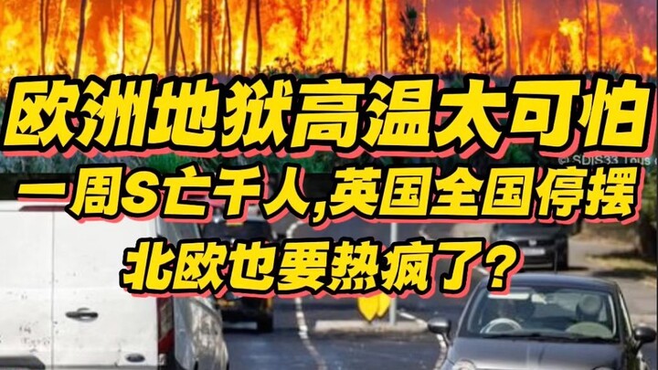 Suhu ekstrem di Eropa benar-benar mengerikan! Seribu orang meninggal dalam sepekan, Inggris terpaksa
