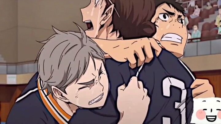 Hand-painted volleyball boys, recreating classic moments! 519 drawings