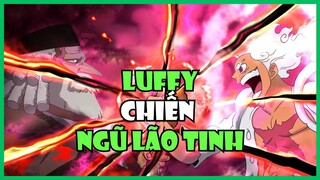 Luffy Đụng Độ Ngũ Lão Tinh - Cuộc Chiến Không Khoan Nhượng | Bàn Luận One Piece