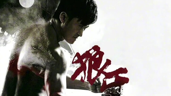 What exactly “changed” Wu Jing?