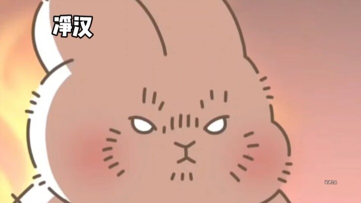 Makanan pengganti lucu edisi keempat belas 😊