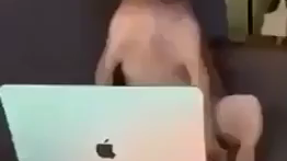 What da dog doin
