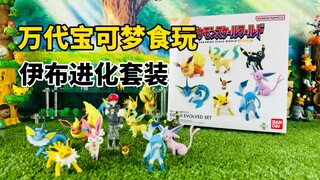 【口袋枫】伊布进化套装万代宝可梦比例世界食玩PB限定 牡丹&仙子伊布减压开箱