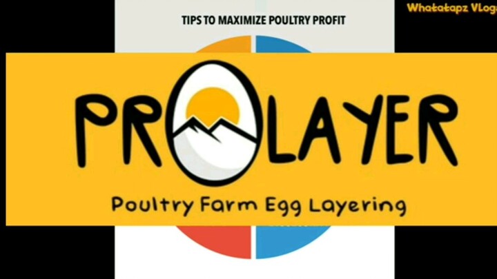 PROLAYER legit na legit ! https://www.prolayer.farm/register?referrer=michaeldapar143