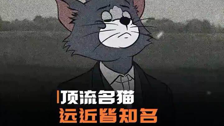 Kucing paling populer di dunia adalah siapa? Tidak diragukan lagi!