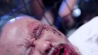 āļāļ·āļāļŠāļąāļāđāļ§āļĩāļĒāļ