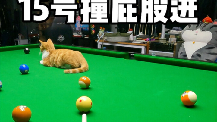 15号撞屁股进