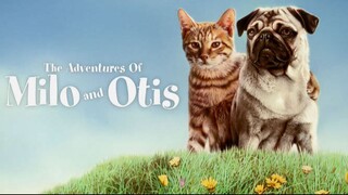 The Adventures of Milo and Otis (1986)