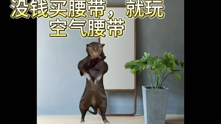 【猫meme】社内胶佬心路历程