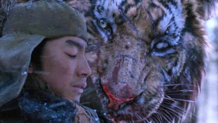 شان جون: من رأى إنسانًا لا يرتدي خوذة عند رؤيتي؟