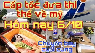 Thi hài phi nhung cấp tốc đưa về mỹ vì quá thời gian "  tang lễ phi nhung tại mỹ