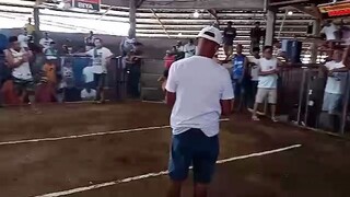 second pie ang laban doc halsean