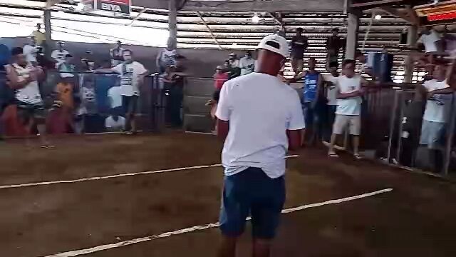 second pie ang laban doc halsean