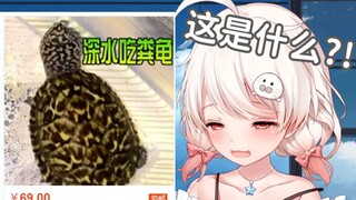[Leopard Film] What is the best pet for Leopard?