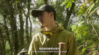 Clip of "Defenders of the Hidden", a documentary on Chinese pangolin conservation