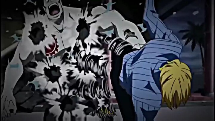 Fight Sanji