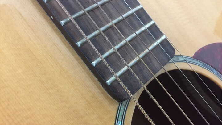 Animal|Guitar Version[Gay And Me]