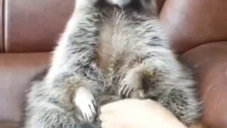 Where's my grape? Where's my big grape?