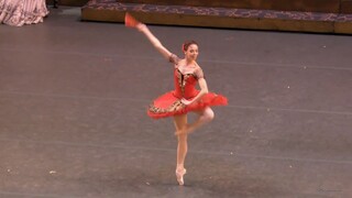 Moscow State Ballet "Don Quixote" Krysanova Highlights 2022 Ekaterina