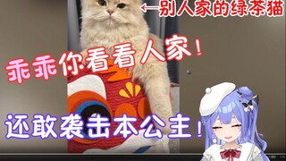 【阿梓】看猫片80乖乖，凌晨叫醒乖乖，公主被猫袭击！