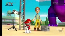 paw patrol musim 5 Episode 17 dan Episode 18 Bahasa indonesia Global tv