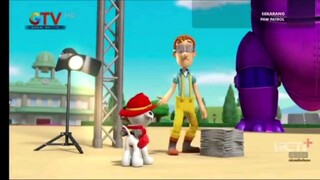 paw patrol musim 5 Episode 17 dan Episode 18 Bahasa indonesia Global tv