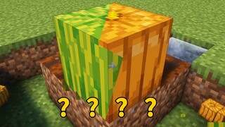 他明明可以中彩票，却选择了玩MC