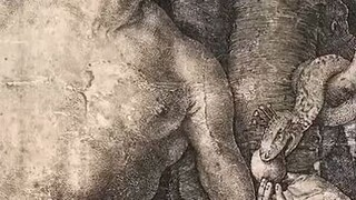 The book of Adam