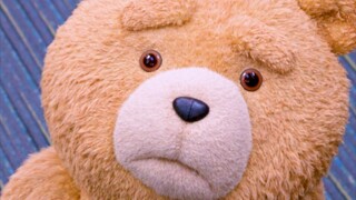 诚 实 の 小 熊 头