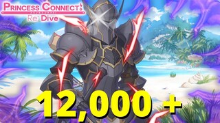 HAHAHAHA!!! OVER 12,000 + JEWELS SPENT!!! JUN SUMMONS! (Princess Connect! Re:Dive)