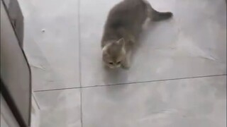 Một cái dính vào người và cái kia dính vào nồi