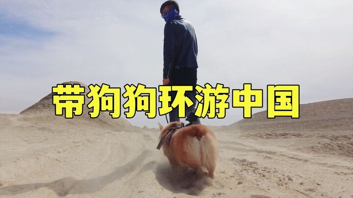带狗狗自驾环游中国是什么体验？每天醒来都在不同的地方
