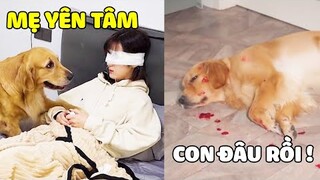 Duomi | Duomi Chăm Sóc Mẹ Bị Mù Nhưng Điều Không May Đã Xảy Ra Sau Đó...😥Gâu Đần Official