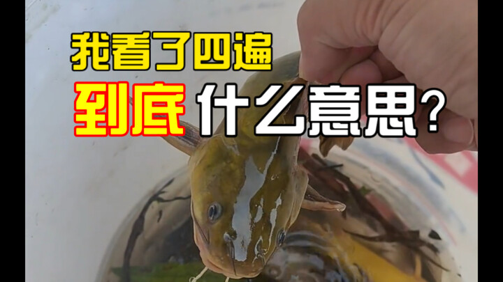 Lần đầu đi câu cá, ai giải thích giúp tôi đây là tình huống gì vậy?