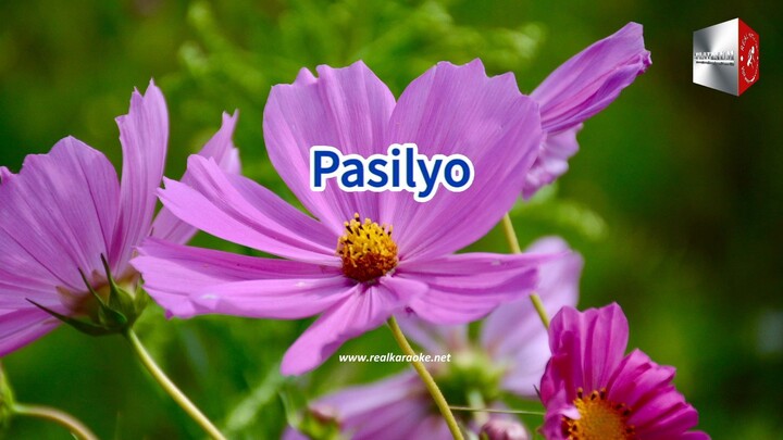 Pasilyo 39683 SunKissed Lola