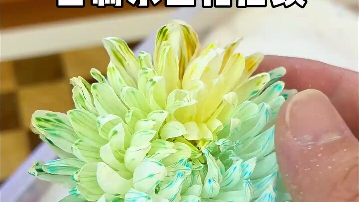 DIY Eternal Flowers Update: The Dried Roses Are Still Stunning!