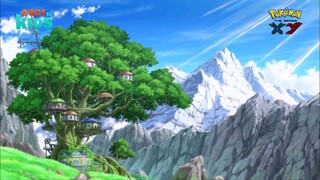 pokemon xy 35 (219) h