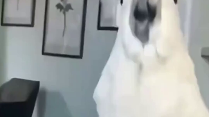 China dalam Pandangan Orang Asing: Imperialisme Ekonomi?