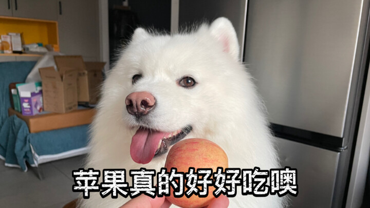 Giòn tan! Hãy vặn âm lượng lên tối đa!