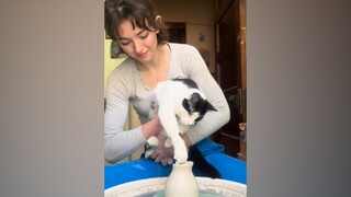 陶艺师小姐姐和她的猫搭档一起合作，猫师傅出品必属精品，保证每款独一无二的哦