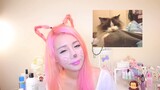 Make cat ears with your own hair - The Wonderful World of Wengie