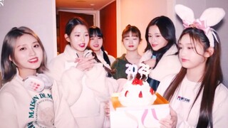 IVE六人一起在宿舍唱宇宙少女As You Wish过跨年！