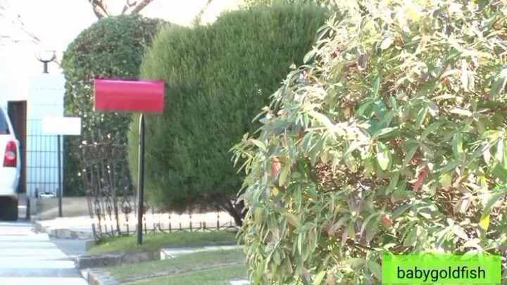 ang alamat ng cocomelon💦